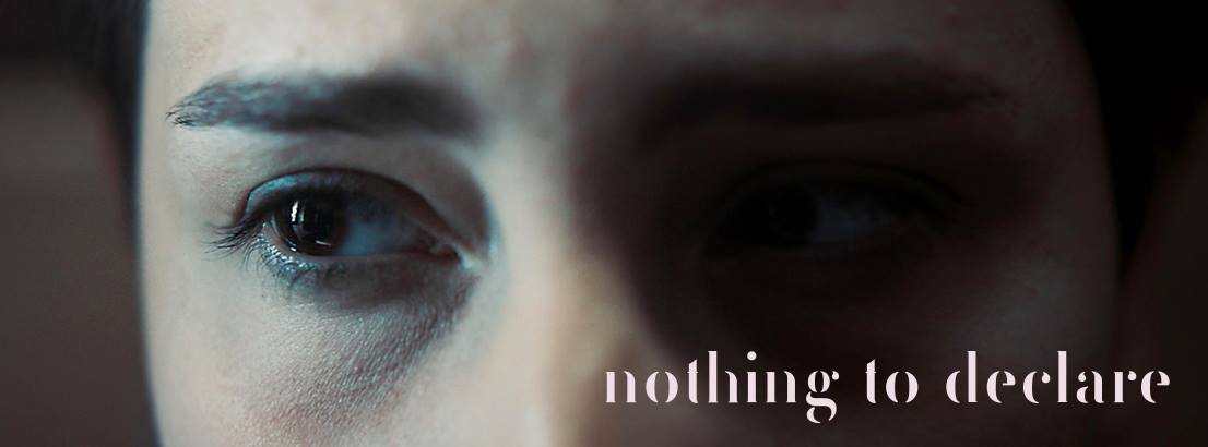 Nothing to Declare has been selected for the 'Gouden Kalf' competition at the Dutch Film Festival     
